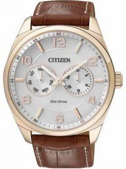 Часы наручные CITIZEN AO9024-16A