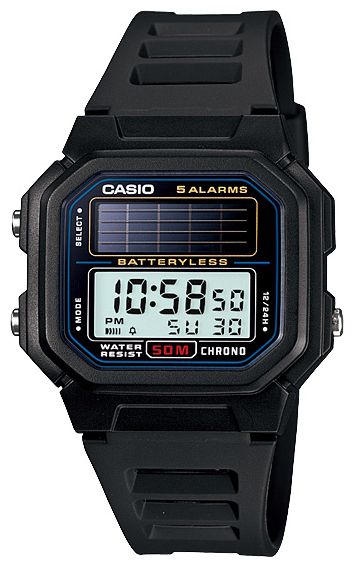 casio 190w