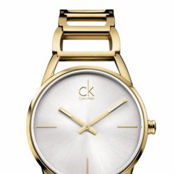 Наручные часы Calvin Klein K3G23526