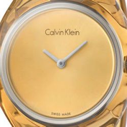 Наручные часы Calvin Klein K4W2MXF6