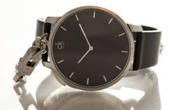 Часы наручные Calvin Klein K3Z211C1