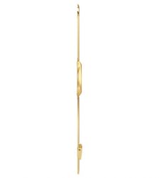 Часы наручные SWATCH SYXG100GG SKINLINGOT